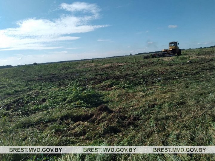 В Пинском районе уничтожена крупная плантация конопли