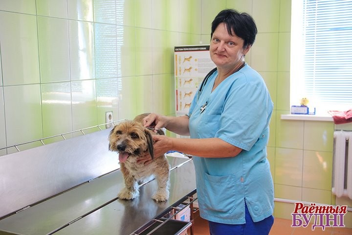 Врач из Брестской области рассказала о необычных пациентах ветклиники