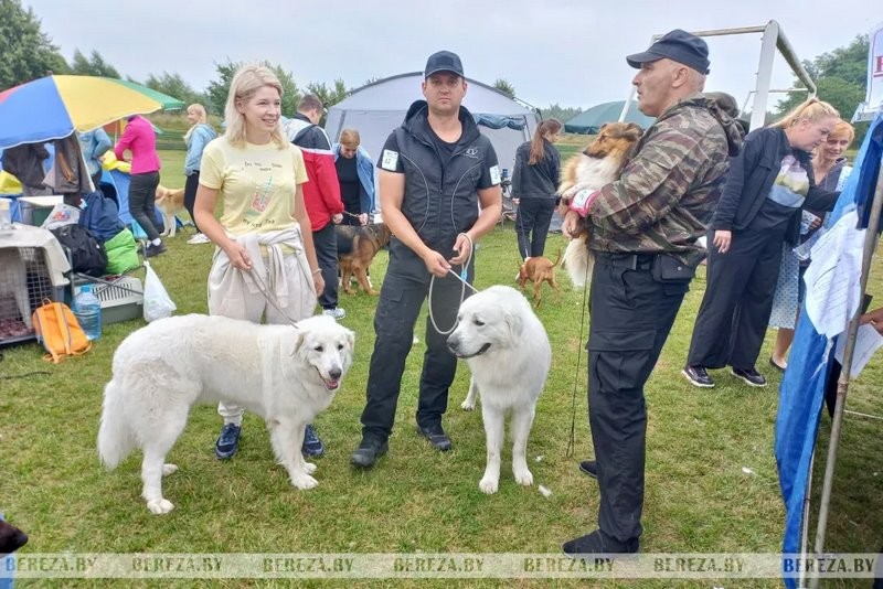 Республиканские выставки собак прошли в Березе