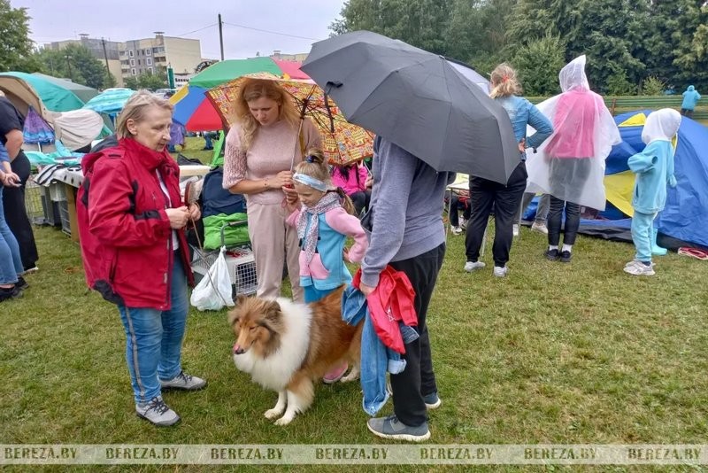 Республиканские выставки собак прошли в Березе
