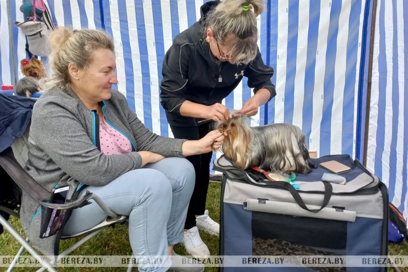 Республиканские выставки собак прошли в Березе