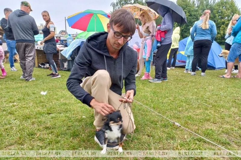 Республиканские выставки собак прошли в Березе
