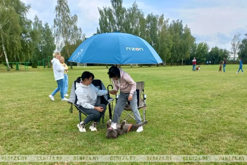 Республиканские выставки собак прошли в Березе