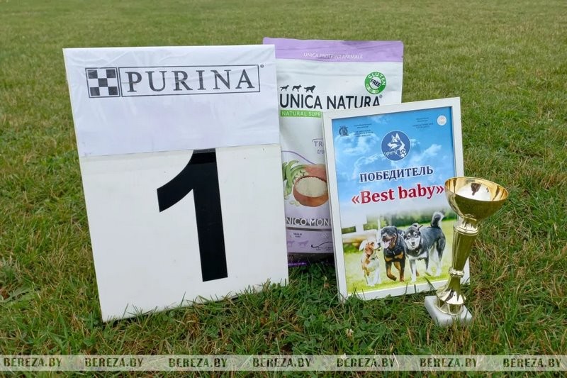 Республиканские выставки собак прошли в Березе