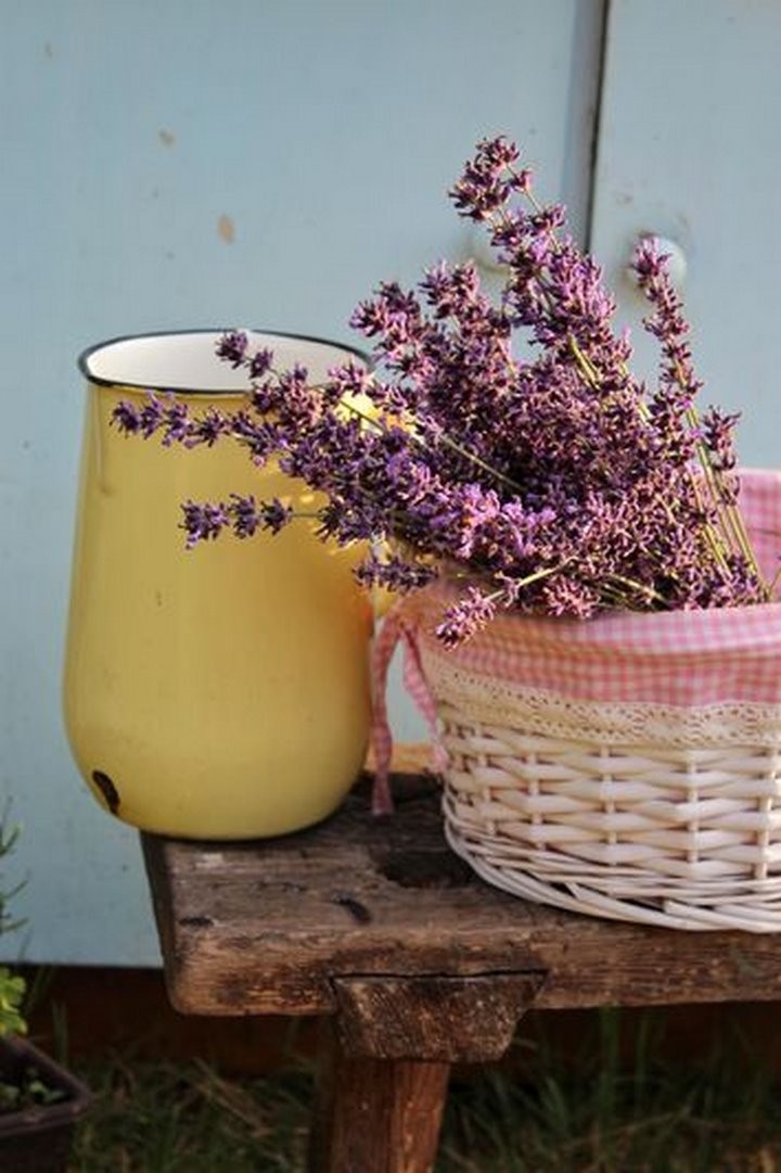 Свадьба, три сломанных трактора, отвага и безумие. Под Пинском появился лавандовый Прованс