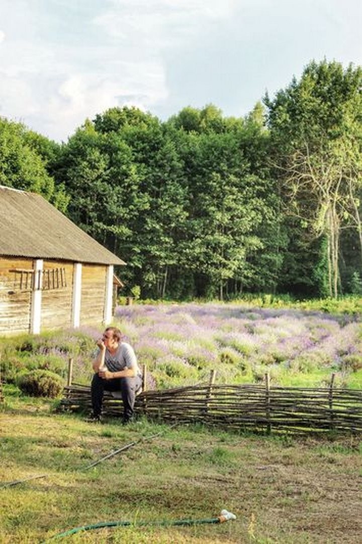 Свадьба, три сломанных трактора, отвага и безумие. Под Пинском появился лавандовый Прованс