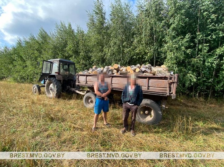 Откуда дровишки? Трактор с прицепом привлек внимание милиции в Брестской области