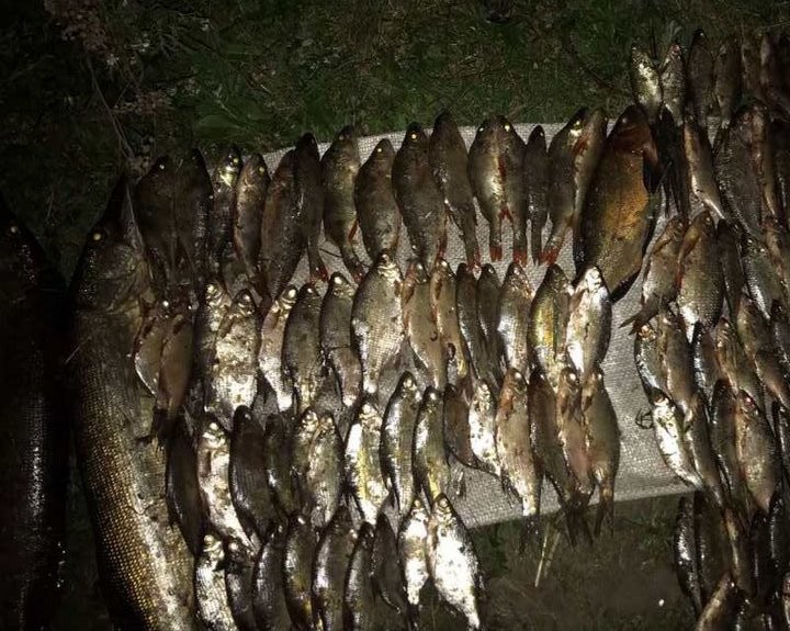 Вернулись с рыбалки без автомобиля. Дорого обошелся улов трем жителям Брестской области