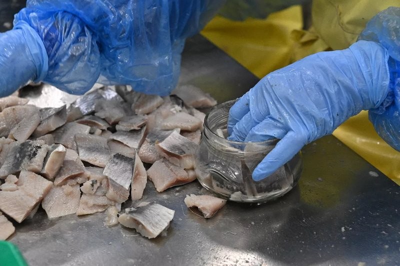 Грызлов побывал на «Санта Бремор» в Бресте и высказался о санкциях