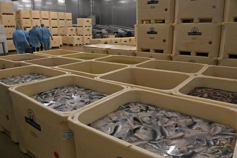 Грызлов побывал на «Санта Бремор» в Бресте и высказался о санкциях