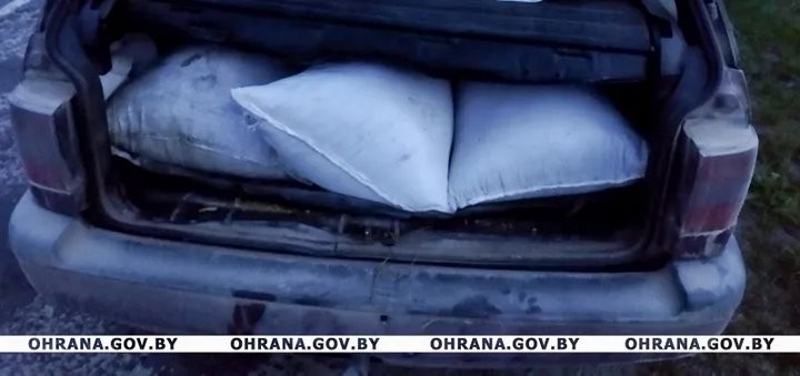 Сливают дизтопливо, воруют моторное масло и фуражную муку. Работники АПК Брестчины попадаются на хищениях