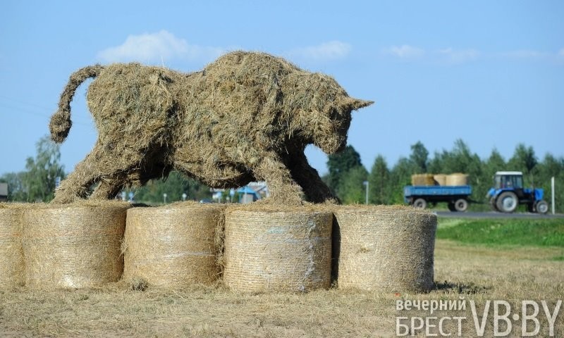 В Телеханах идут последние приготовления к областным «Дажынкам»