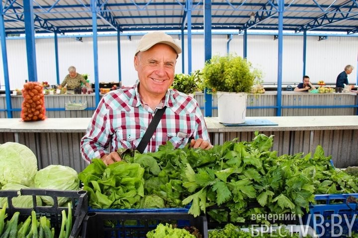 Зелени много не бывает! Малоритский фермер нашел необычную нишу на овощном рынке и не жалеет