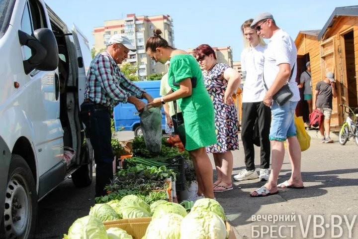 Зелени много не бывает! Малоритский фермер нашел необычную нишу на овощном рынке и не жалеет