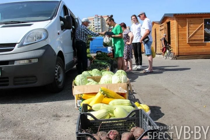 Зелени много не бывает! Малоритский фермер нашел необычную нишу на овощном рынке и не жалеет