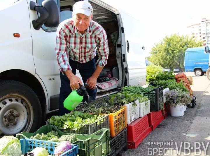 Зелени много не бывает! Малоритский фермер нашел необычную нишу на овощном рынке и не жалеет