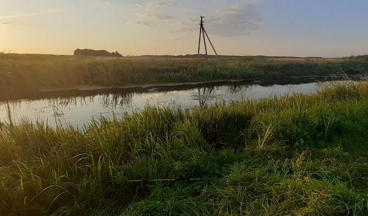 14-летний мальчик на рыбалке погиб от удара током. Трагедия произошла в Брестской области