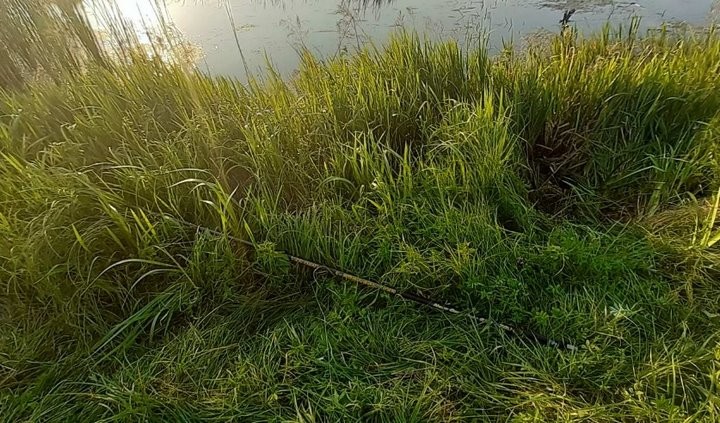 14-летний мальчик на рыбалке погиб от удара током. Трагедия произошла в Брестской области