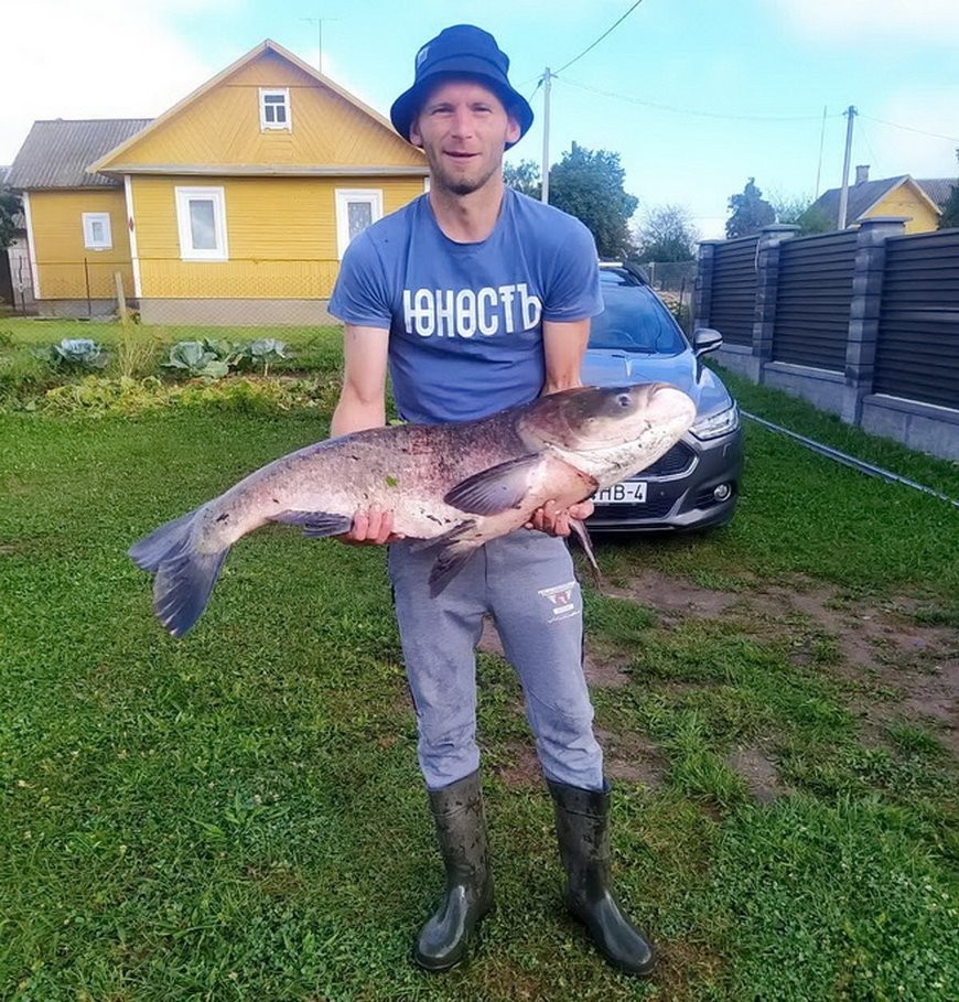 Белорус выловил толстолобика весом почти 20 кг