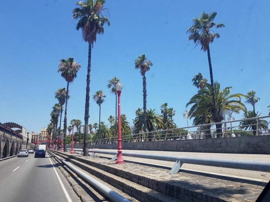 «В день — до 320 злотых». Водитель грузовика переехал в Польшу и рассказал о реальном заработке