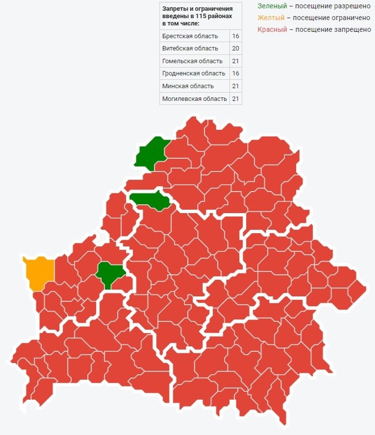 Несмотря на похолодание, почти все леса Беларуси до сих пор нельзя посещать