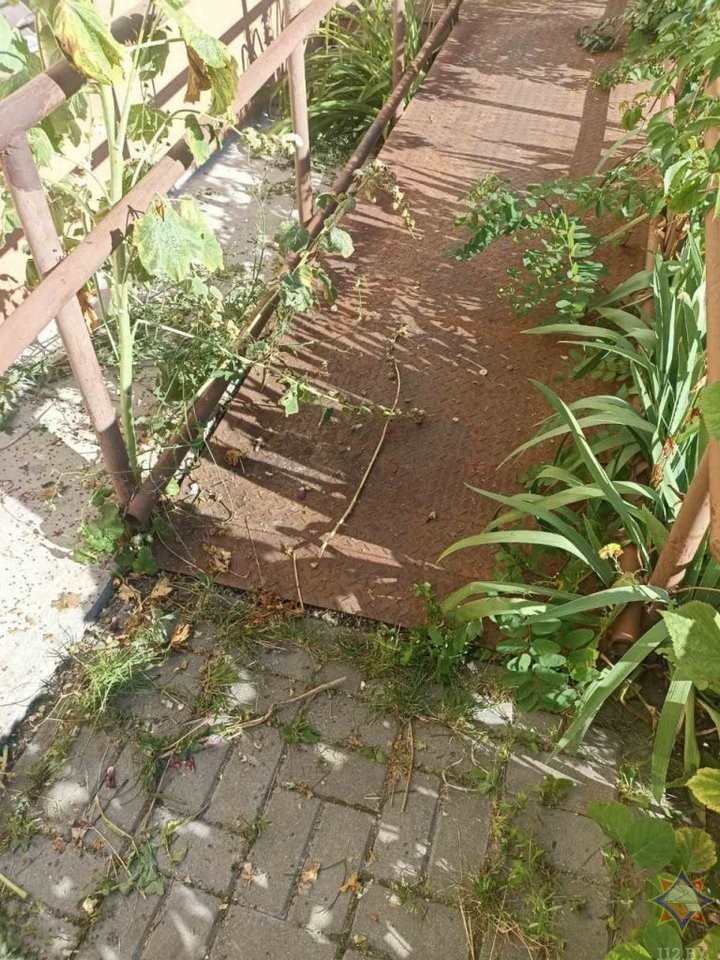 Брестские спасатели помогли коту, застрявшему под пандусом