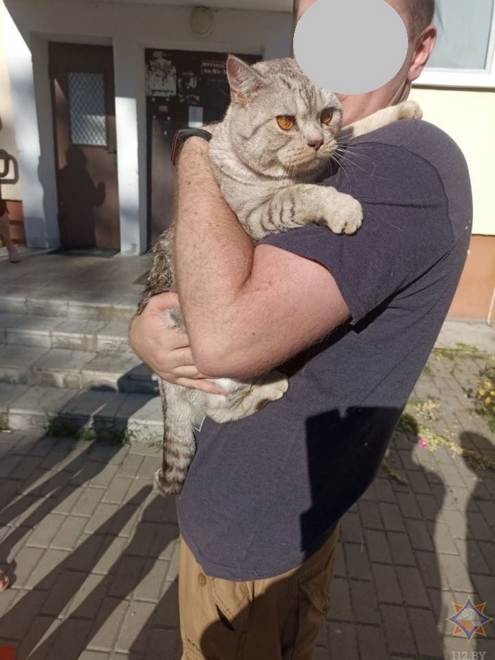 Брестские спасатели помогли коту, застрявшему под пандусом