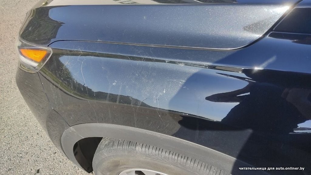 «Собаки истерзали наш автомобиль!». Происшествие в Минске