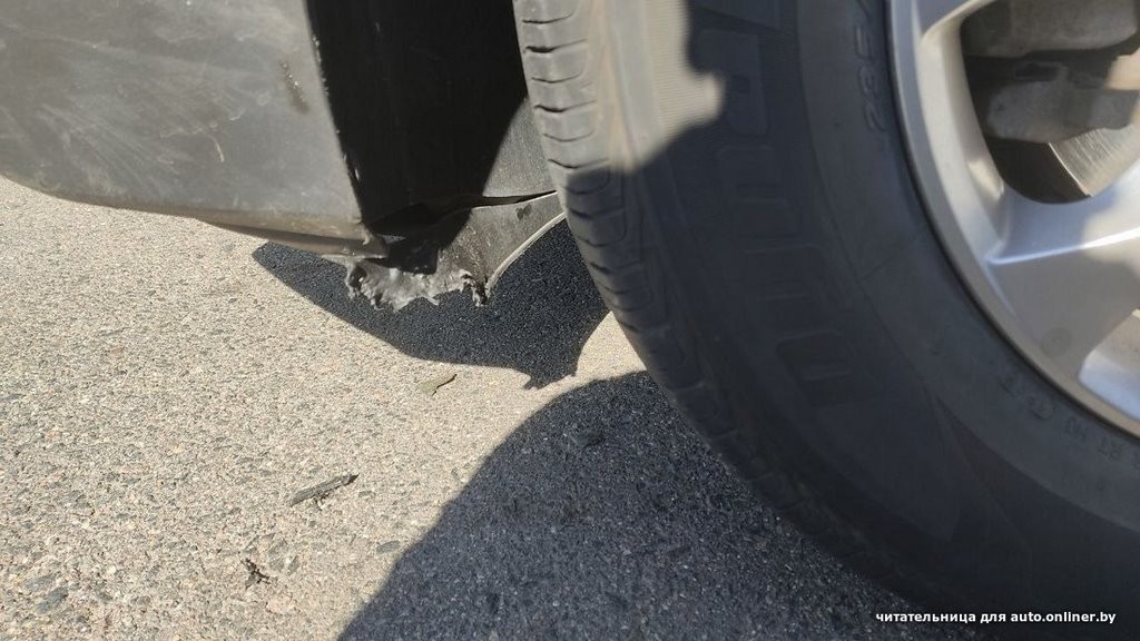 «Собаки истерзали наш автомобиль!». Происшествие в Минске