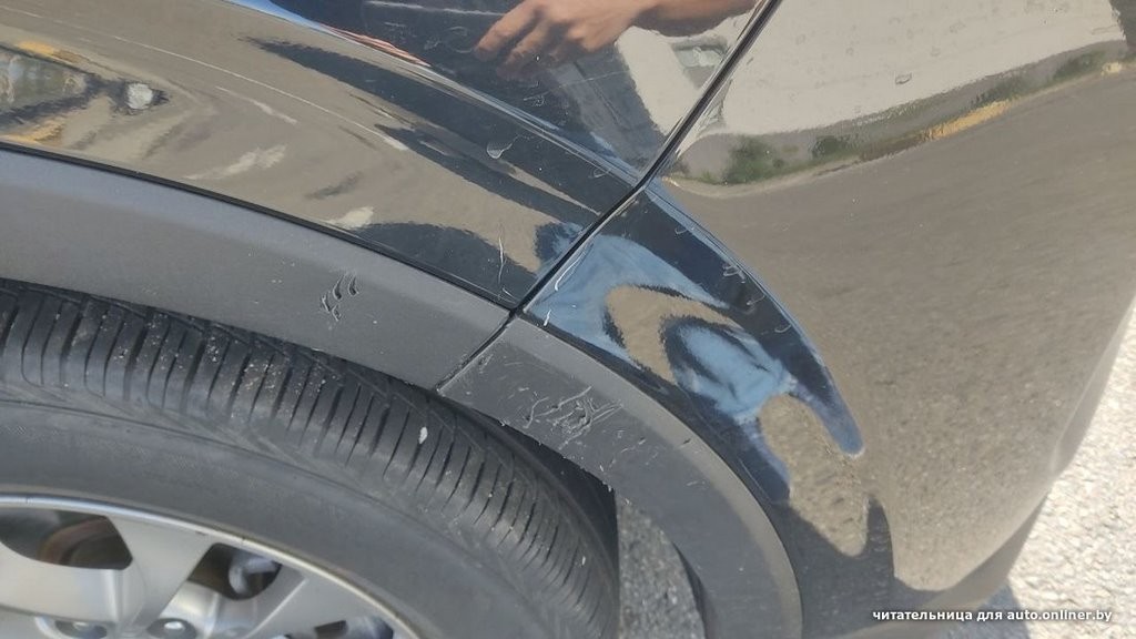 «Собаки истерзали наш автомобиль!». Происшествие в Минске