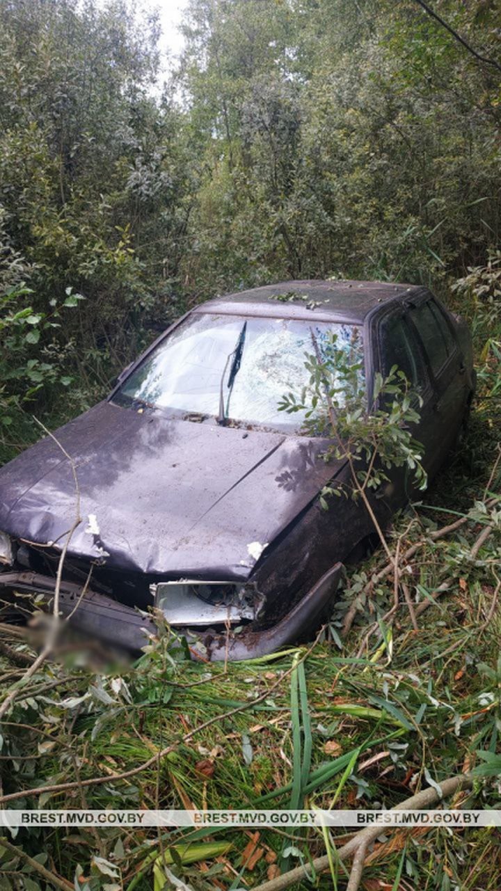 Пьяный житель Брестской области угнал авто и совершил ДТП