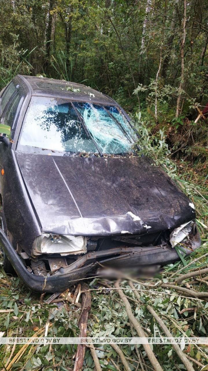 Пьяный житель Брестской области угнал авто и совершил ДТП