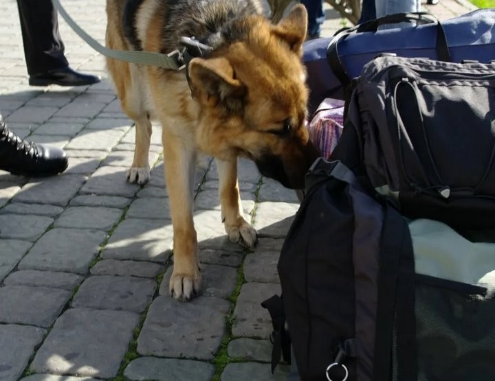 Фото из открытых источников (иллюстративное)