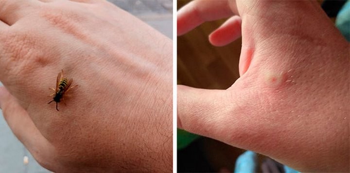 Фото из открытых источников (иллюстративное)