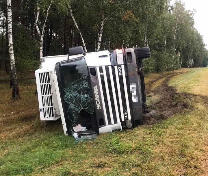 В Ивацевичском районе на М1 фура «ушла» в кювет. Водитель в больнице