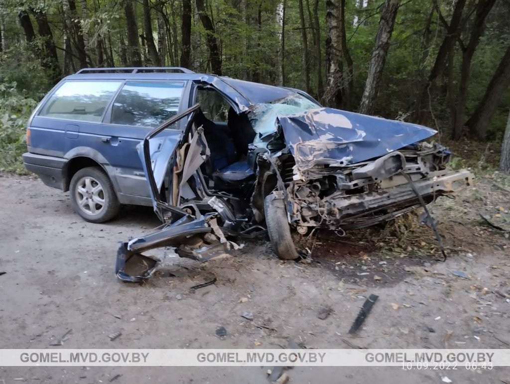 В Беларуси произошло смертельное ДТП из-за выскочившего на дорогу животного. Водитель бросила пассажирку и пошла домой