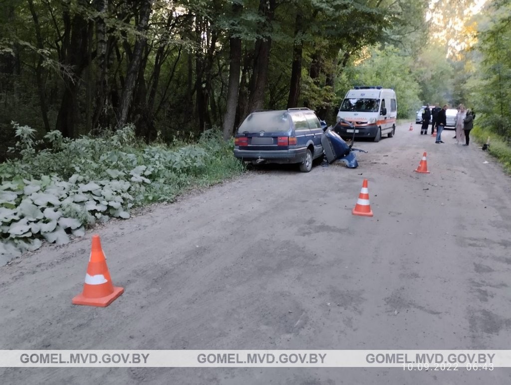 В Беларуси произошло смертельное ДТП из-за выскочившего на дорогу животного. Водитель бросила пассажирку и пошла домой