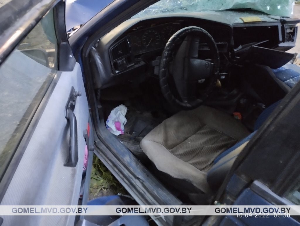 В Беларуси произошло смертельное ДТП из-за выскочившего на дорогу животного. Водитель бросила пассажирку и пошла домой