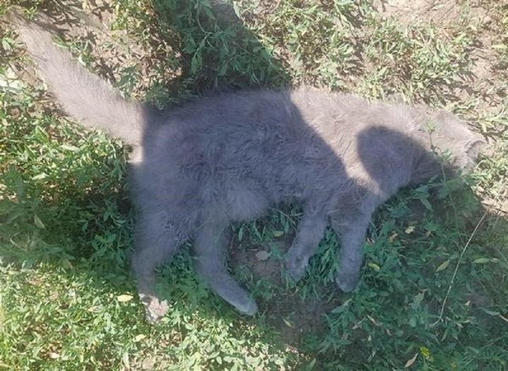 Фото из открытых источников (иллюстративное)