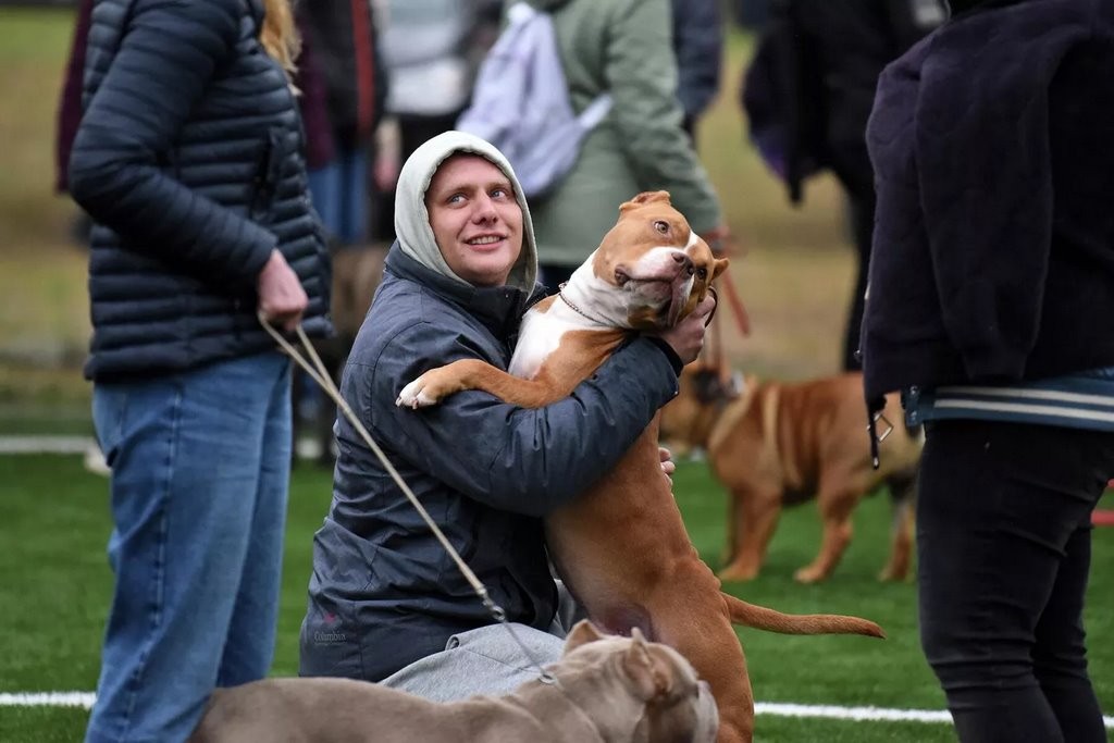 В Беларуси выбрали лучшую собаку