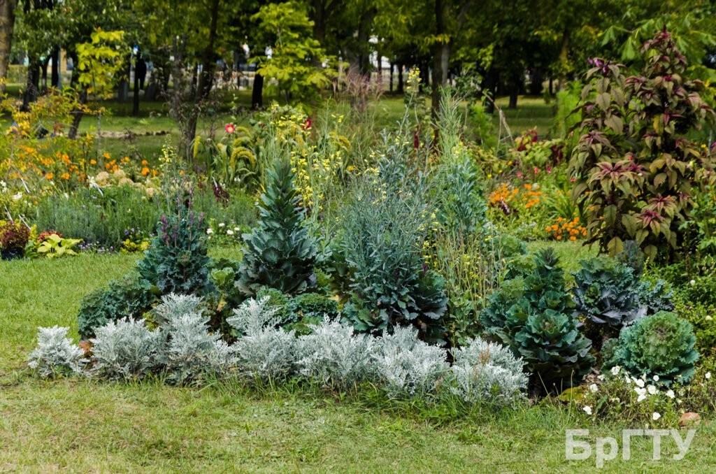 На территории Брестского государственного технического университета открылся «Кветка Парк»