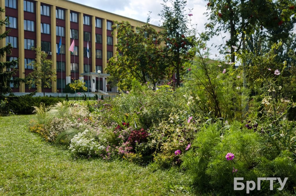 На территории Брестского государственного технического университета открылся «Кветка Парк»
