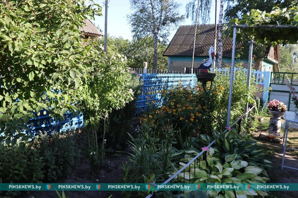 Смотрите, какой уют и красоту создают жители деревни Молодельчицы на своих подворьях