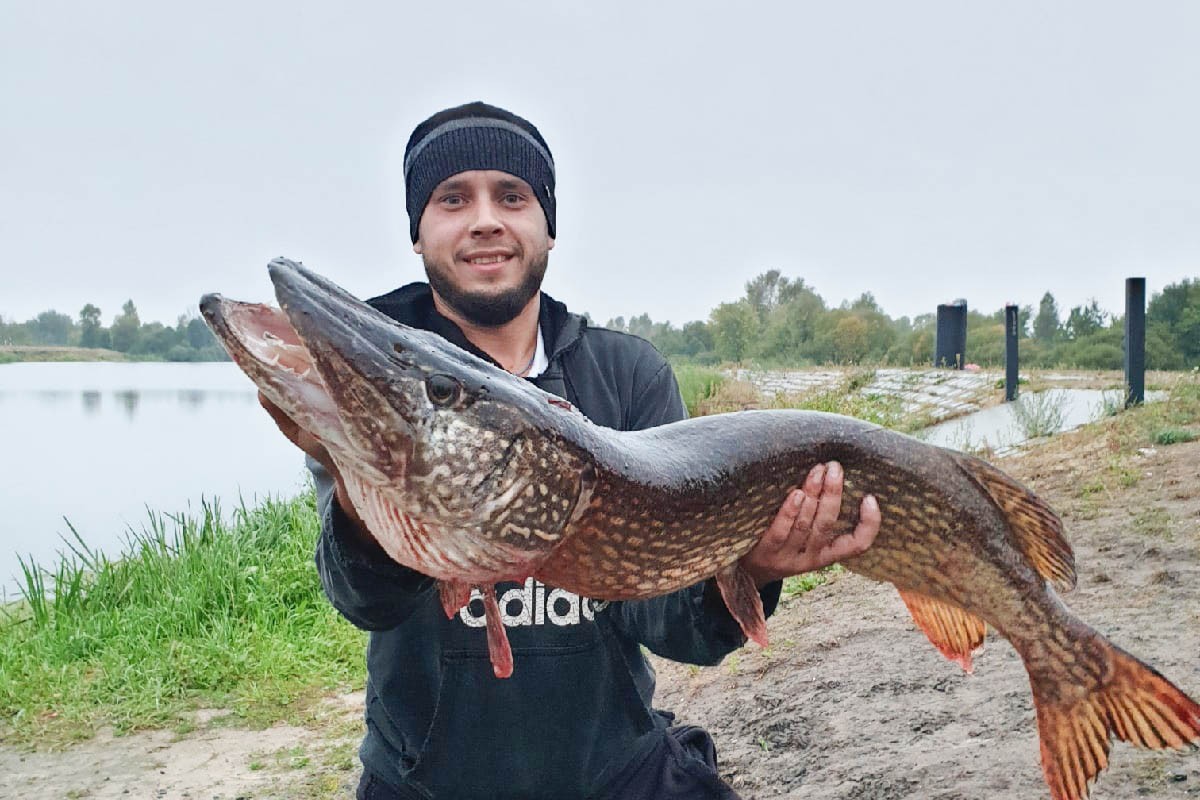 Рыбак словил в Припяти в Пинском районе метровую щуку