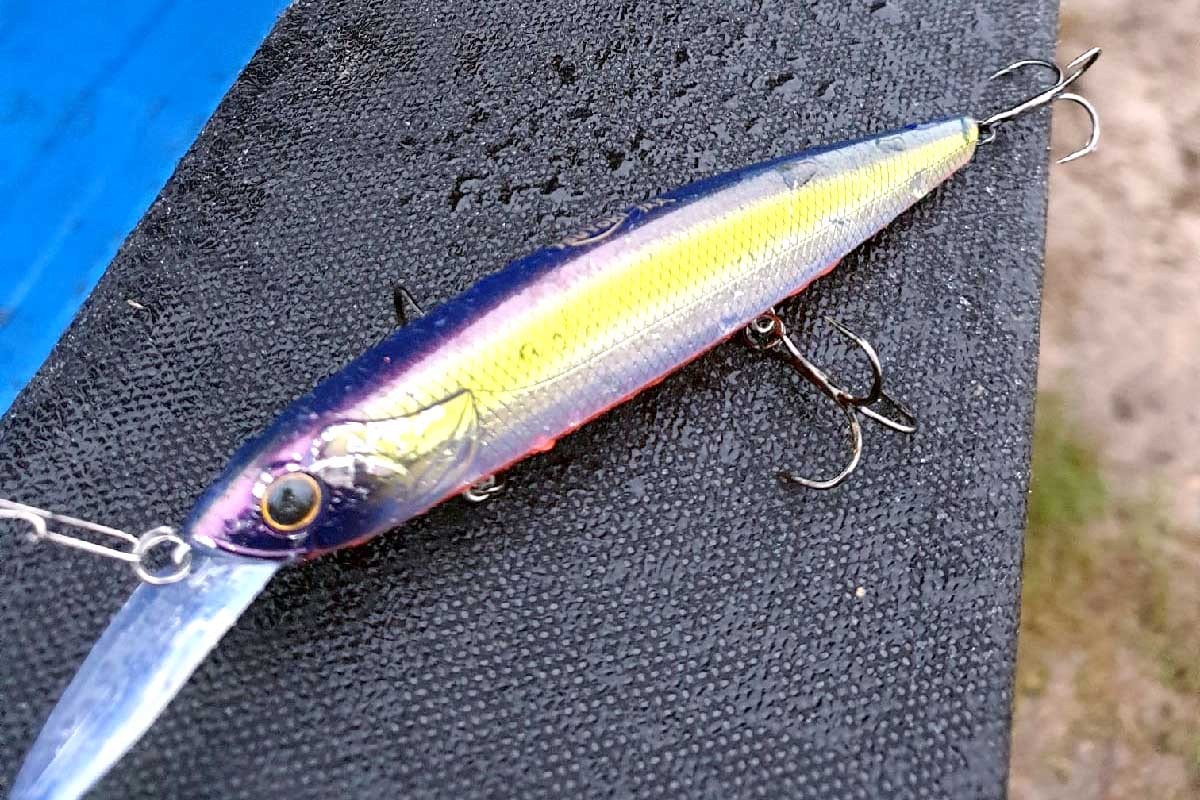 Рыбак словил в Припяти в Пинском районе метровую щуку