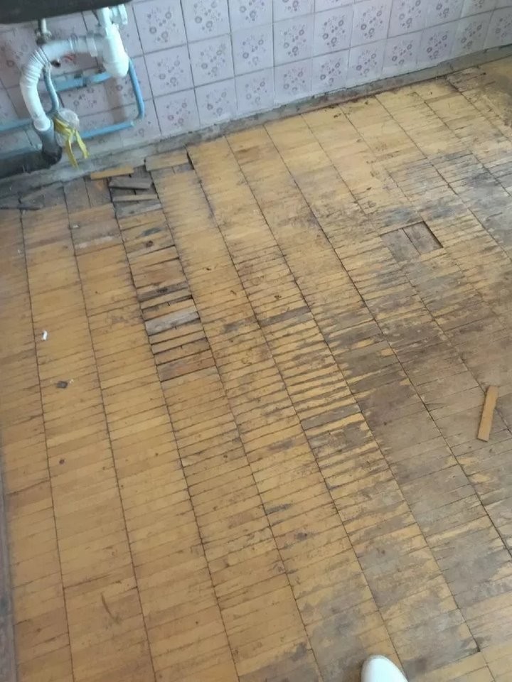 Выпускнице медколледжа выделили квартиру, в которой невозможно жить