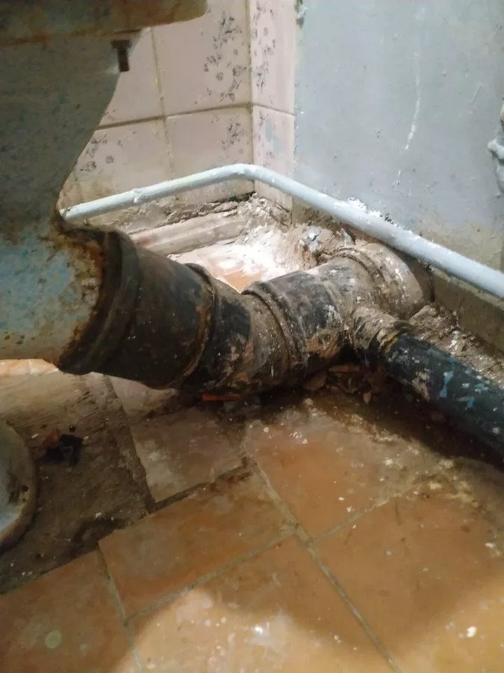 Выпускнице медколледжа выделили квартиру, в которой невозможно жить