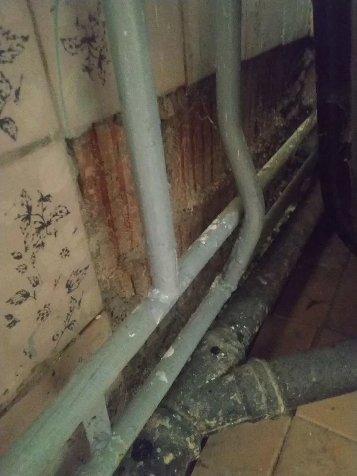 Выпускнице медколледжа выделили квартиру, в которой невозможно жить