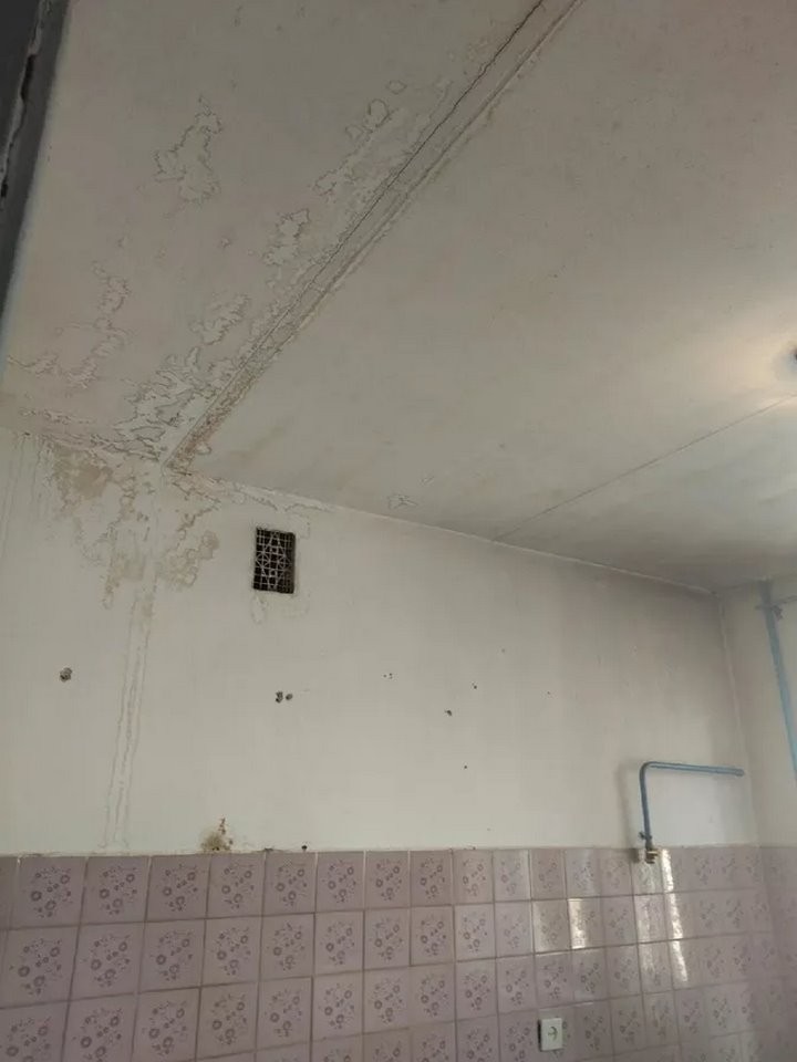 Выпускнице медколледжа выделили квартиру, в которой невозможно жить