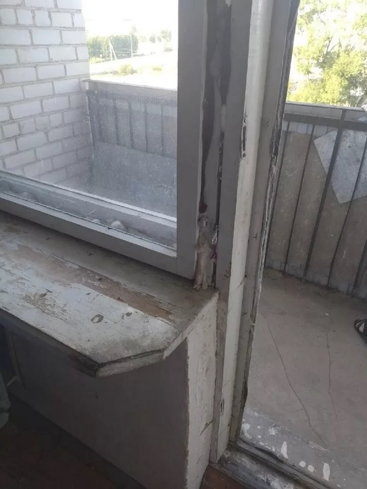 Выпускнице медколледжа выделили квартиру, в которой невозможно жить